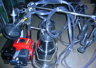 Mesin Mesin Perontok Mesin Bensin / Mesin Motor Portable untuk Sapi, Domba dan Kambing